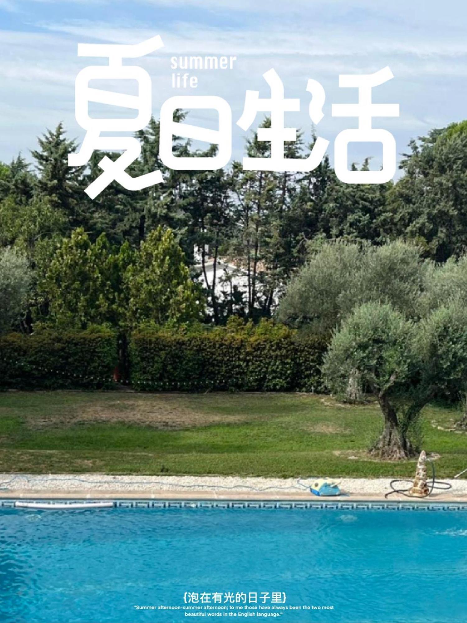 博阿迪利亚德尔蒙特Tree House公寓 外观 照片