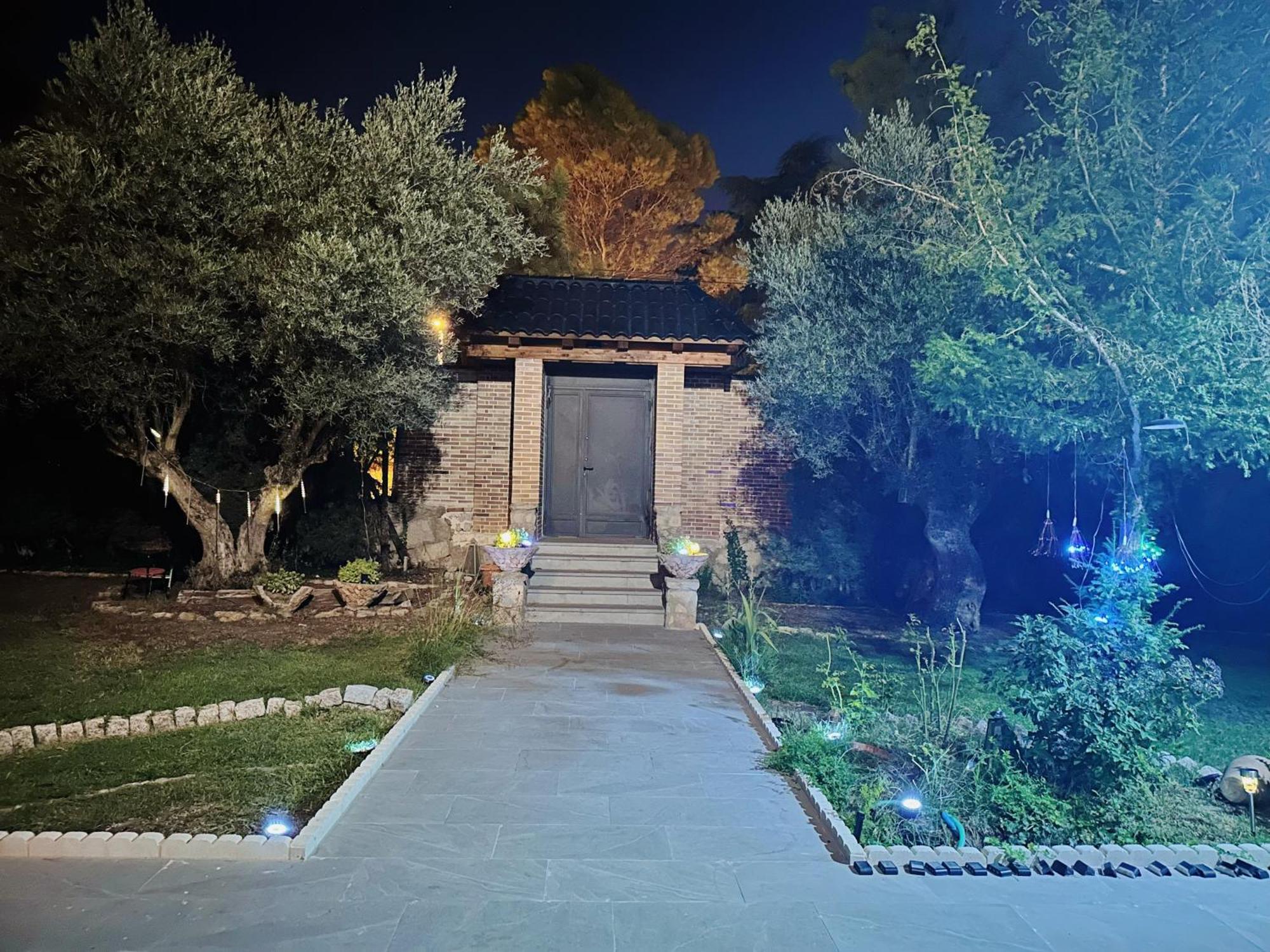 博阿迪利亚德尔蒙特Tree House公寓 外观 照片